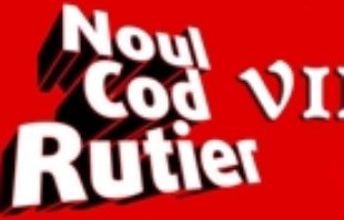 Codul Rutier – CAPITOLUL VII – Raspunderea contraventionala img