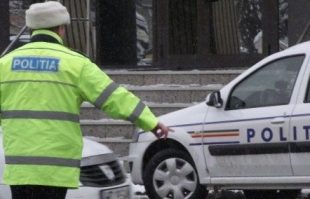 Amenzile cresc intr-un an cat altele in 10 img